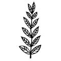 Branch with leaves vector icon. Hand drawn doodle isolated on white background. A straight twig with large oval veined leaves.
