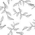 Branch with leaves vector illustration eps 10. Royalty Free Stock Photo