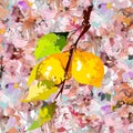 A branch with lemons on a beautiful floral background for your designs