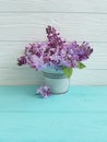 Branch of a lilac flower daylight on a blue wooden background, vase Royalty Free Stock Photo