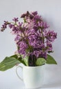 A branch of lilac has mutating flowers standing in a white vase