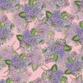 Branch lilac painting in watercolor. Illustration for decor.