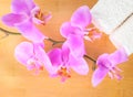 Branch lilac orchid and white towels on bamboo Royalty Free Stock Photo