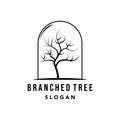 branch logo line art vector minimalist illustration design