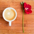 Branch of mallow red flower and white cup of hot coffee with foam on table on wood background closeup in square top view Royalty Free Stock Photo