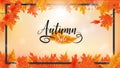 Autumn sale square background