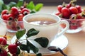 Branch with Mature rosehip fruit on the background of a tea Cup and rosehip fruit in a glass container, close-up Royalty Free Stock Photo