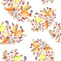 Branch of pears with rose hips fruit. Watercolor background illustration set. Seamless background pattern.