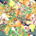 Branch of pears with rose hips fruit. Watercolor background illustration set. Seamless background pattern.