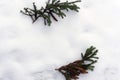 Branch of pine in the snow with copy space Royalty Free Stock Photo
