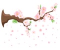 Branch of pink blossoming sakura. Japanese cherry tree. Vector decoration branches with flowers, spring Flat design style i Royalty Free Stock Photo