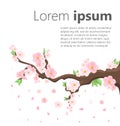 Branch of pink blossoming sakura. Japanese cherry tree. Vector decoration branches with flowers, spring Flat design style i Royalty Free Stock Photo