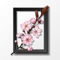 Branch of pink sakura cherry flowers in frame Royalty Free Stock Photo