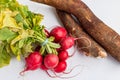 Branch of radishes rabanetes and cassava mandioca, macaxeira on white background. Top view. Selective focus