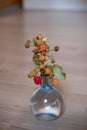 A branch of raspberry Rubus idaeus in vase