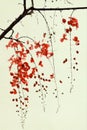 Branch of Red Blossom on Handmade Paper Royalty Free Stock Photo