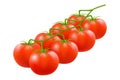 Branch of red cherry tomatoes. Realistic 3d vector illustration of vegetables plant. Fresh vegetables for salad and cooking. Can Royalty Free Stock Photo