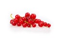 Branch of red currant berries isolated on a white background. Royalty Free Stock Photo
