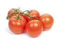 Branch of red fresh tomatoes isolated on white background, close-up Royalty Free Stock Photo