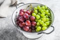 A branch of red and green grapes in a colander. Gray background. Top view Royalty Free Stock Photo