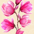 Branch of red pink magnolia flowers on the pastel background. Royalty Free Stock Photo