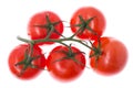 Branch with red ripe tomatoes, isolated on white background Royalty Free Stock Photo
