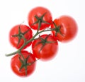 Branch with red ripe tomatoes, isolated on white background Royalty Free Stock Photo