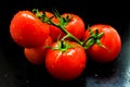A branch of red tomato is on a black background. Close-up. Royalty Free Stock Photo