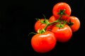 A branch of red tomato is isolating on a black background. Royalty Free Stock Photo
