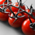 ed tomatoes on a branch close up, black and white background with red tomatoes, texture of vegetables macro, square format Royalty Free Stock Photo