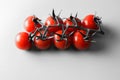 Red tomatoes on a branch close up, black and white background with red tomatoes Royalty Free Stock Photo