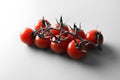 Red tomatoes on a branch close up, black and white background with red tomatoes Royalty Free Stock Photo