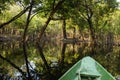 Branch of the Rio Negro, Amazonas, Brazil Royalty Free Stock Photo