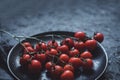 Branch of ripe cherry tomatoes on black plate, close up. With copy space Royalty Free Stock Photo