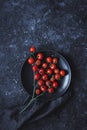 Branch of ripe cherry tomatoes on black plate, top view. With copy space Royalty Free Stock Photo