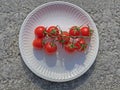 Branch of ripe red cherry tomatoes on white plate close-up top view. Copy space. Vegetables. Organic food Royalty Free Stock Photo