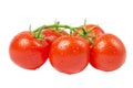 Branch of ripe red organic tomatoes with green leaves and water drops on a white background.  selective focus Royalty Free Stock Photo