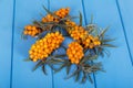 Branch with ripe sea-buckthorn berries and leaves closeup on background of painted wood in blue. Royalty Free Stock Photo