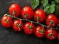 branch ripe tomatoes in drops of water