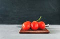 Branch of ripe tomatoes Royalty Free Stock Photo