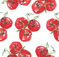 Branch ripe tomatoes pattern watercolor sketch hand Royalty Free Stock Photo