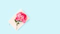 branch with rose buds laying on pink notepad on blue background Royalty Free Stock Photo