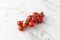 Branch with rotten bad and ripe good red cherry tomatoes Royalty Free Stock Photo