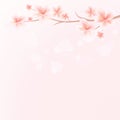 Branch of Sakura with flowers on Pink bokeh background. Apple-tree flowers. Cherry blossom. Vector EPS 10 cmyk Royalty Free Stock Photo