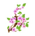 Branch sakura, illustration cherry blossom, with flowers in anime style. Unorthodox East Asian decoration tradition in