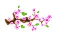 Branch sakura, illustration cherry blossom, with flowers in anime style. Unorthodox East Asian decoration tradition in Royalty Free Stock Photo