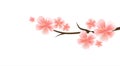 Branch of Sakura with Light Pink flowers isolated on White background. Sakura flowers. Cherry blossom. Vector Royalty Free Stock Photo