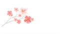 Branch of Sakura with Light Pink flowers isolated on White background. Sakura flowers. Cherry blossom. Vector Royalty Free Stock Photo