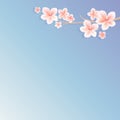 Branch of Sakura with Pink flowers isolated on gradient Blue Violet background. Apple-tree flowers. Cherry blossom. Vector