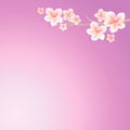 Branch of Sakura with Pink flowers isolated on gradient Violet background. Apple-tree flowers. Cherry blossom. Vector EPS 10 Royalty Free Stock Photo
